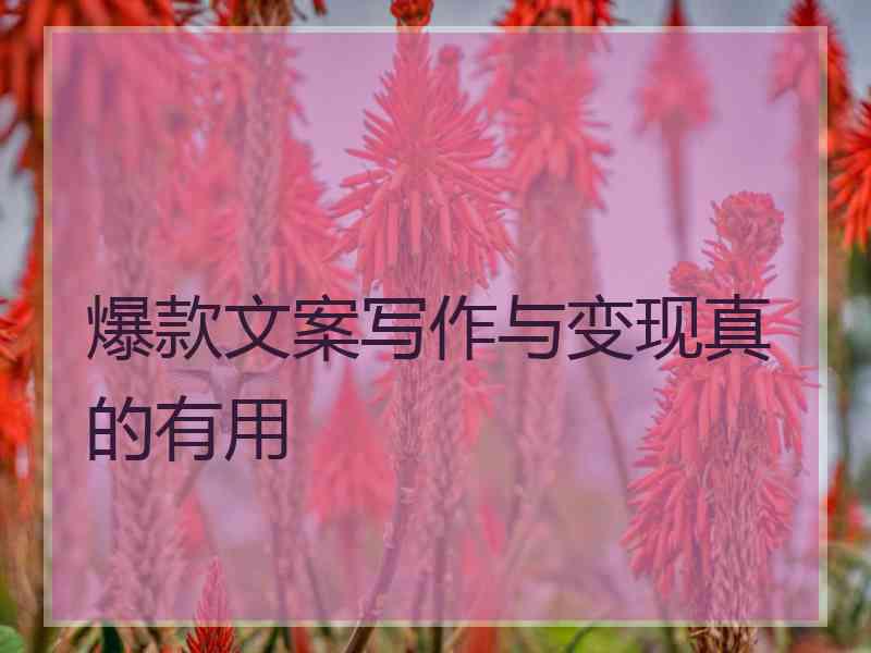 爆款文案写作与变现真的有用