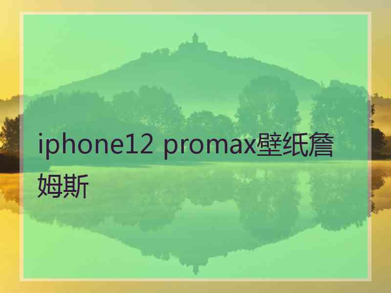 iphone12 promax壁纸詹姆斯