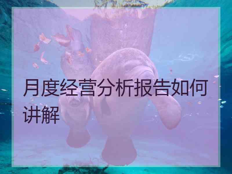 月度经营分析报告如何讲解