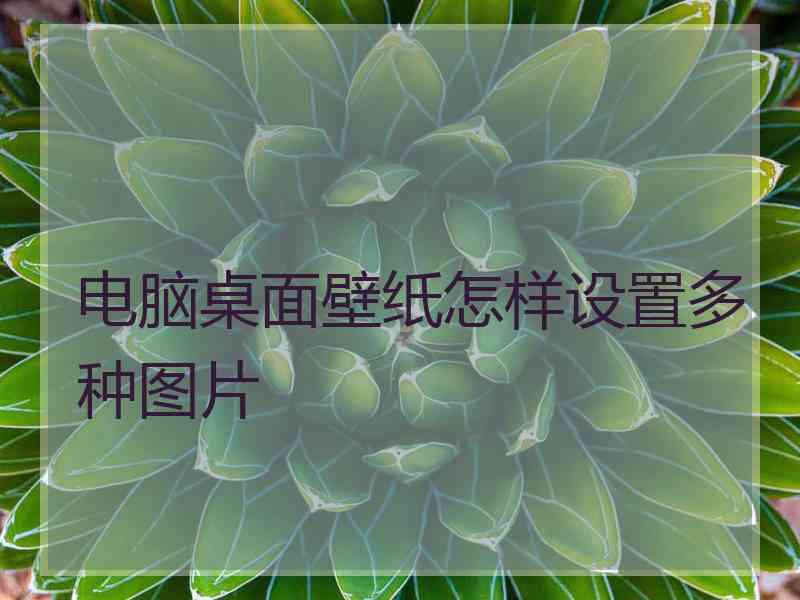 电脑桌面壁纸怎样设置多种图片