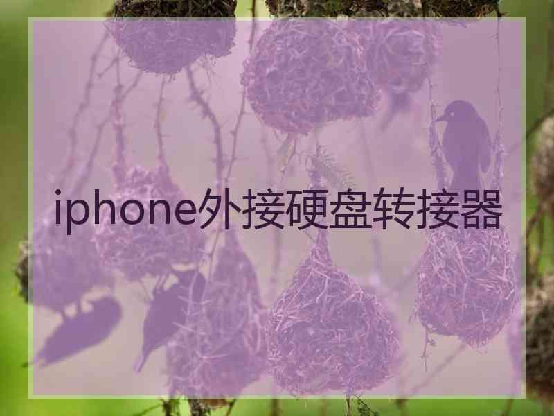 iphone外接硬盘转接器