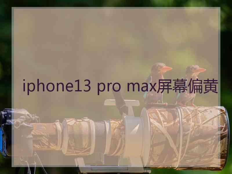 iphone13 pro max屏幕偏黄