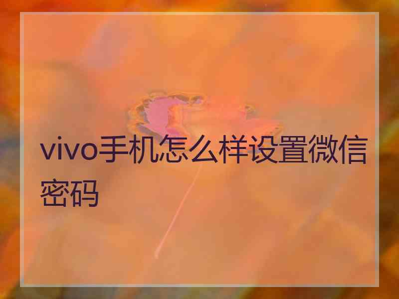 vivo手机怎么样设置微信密码