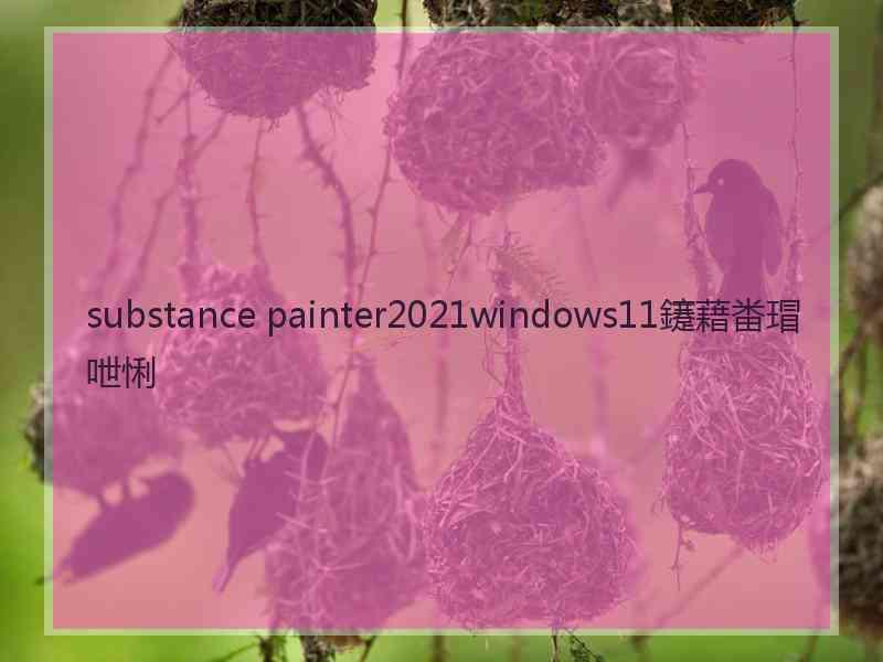 substance painter2021windows11鑳藉畨瑁呭悧