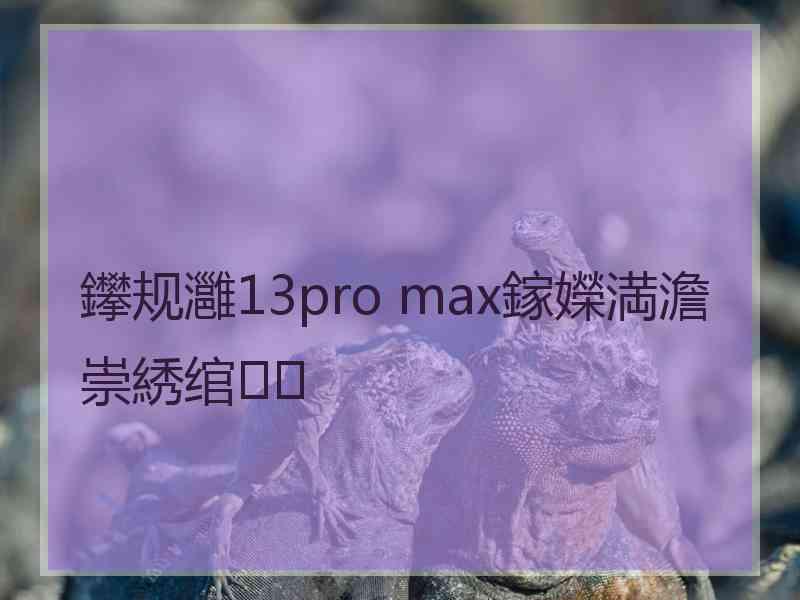 鑻规灉13pro max鎵嬫満澹崇綉绾㈡