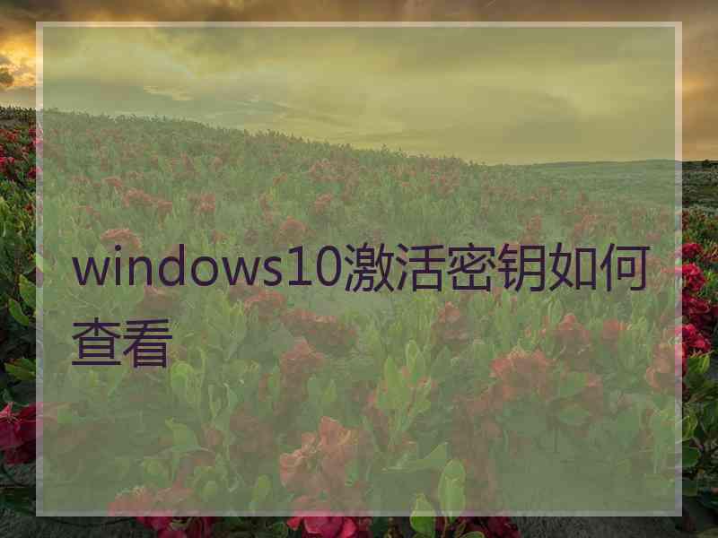 windows10激活密钥如何查看