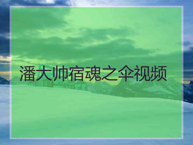 潘大帅宿魂之伞视频