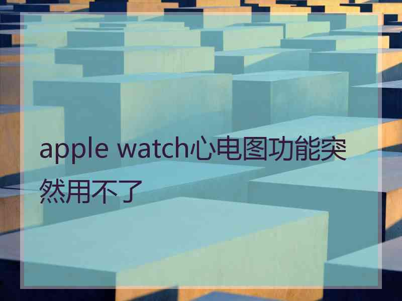 apple watch心电图功能突然用不了