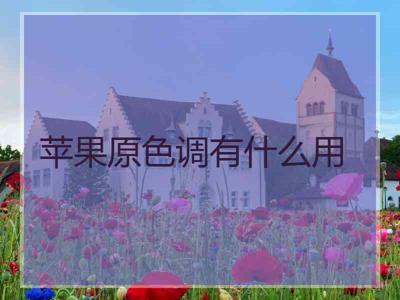 苹果原色调有什么用