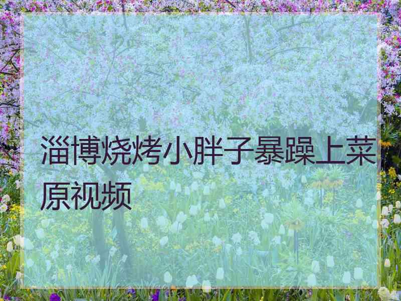 淄博烧烤小胖子暴躁上菜原视频