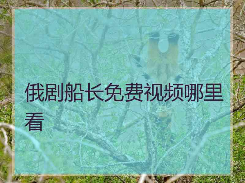 俄剧船长免费视频哪里看