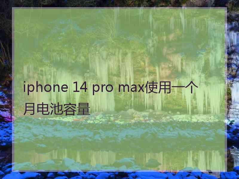 iphone 14 pro max使用一个月电池容量