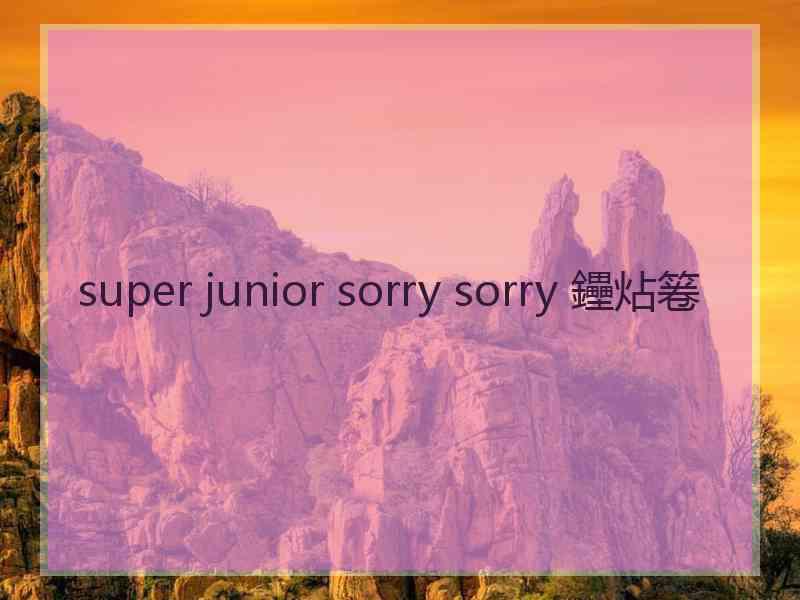 super junior sorry sorry 鑸炶箞