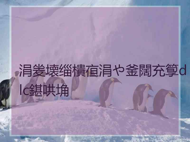 涓夎壊缁樻亱涓や釜闊充箰dlc鍖哄埆