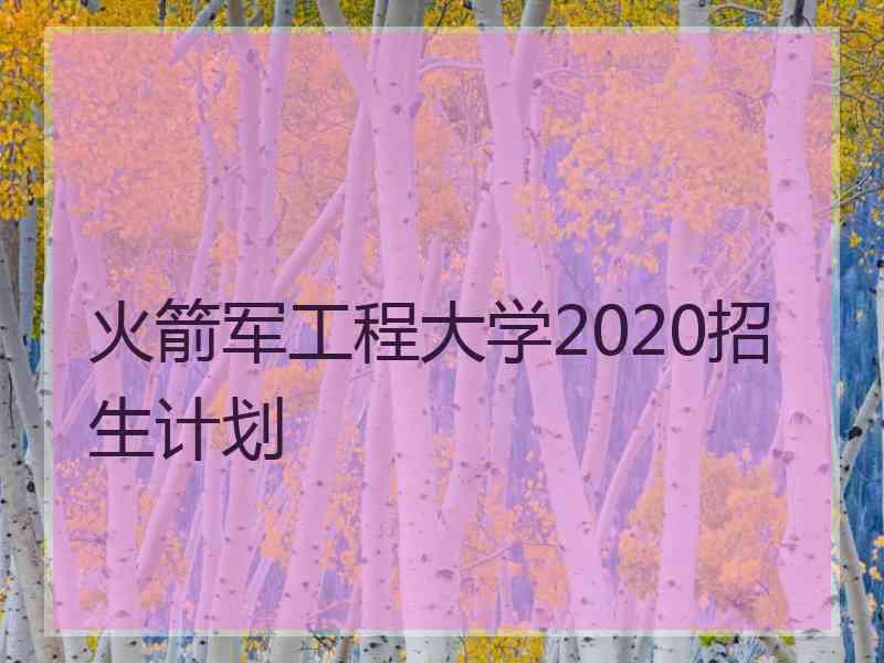 火箭军工程大学2020招生计划