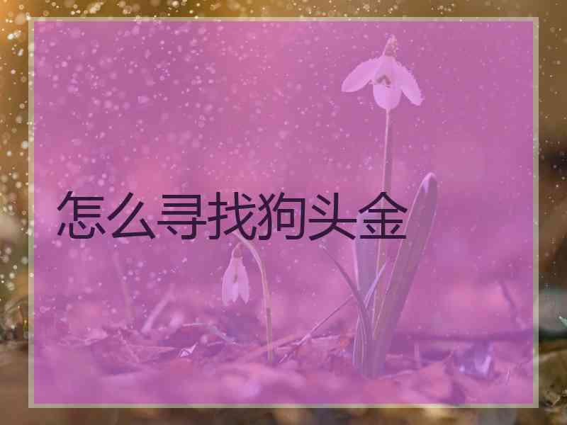 怎么寻找狗头金