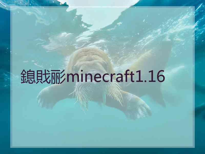 鎴戝彨minecraft1.16