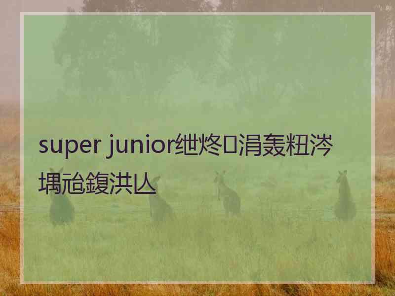 super junior绁炵涓轰粈涔堣兘鍑洪亾