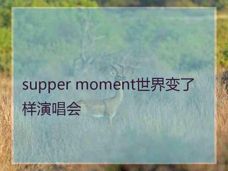 supper moment世界变了样演唱会