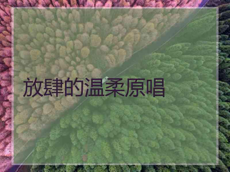 放肆的温柔原唱