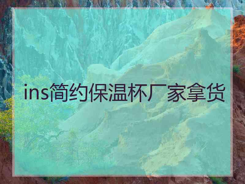 ins简约保温杯厂家拿货