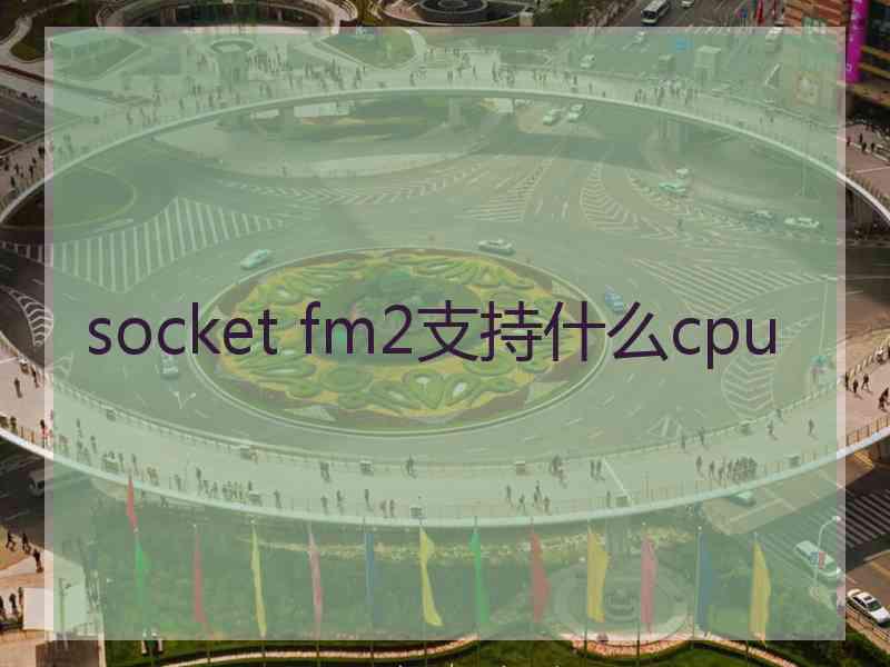 socket fm2支持什么cpu