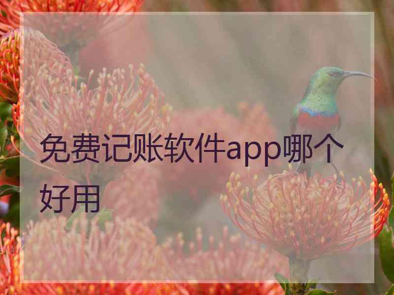 免费记账软件app哪个好用