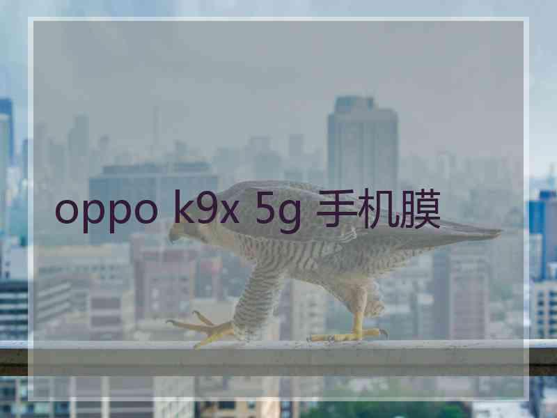 oppo k9x 5g 手机膜