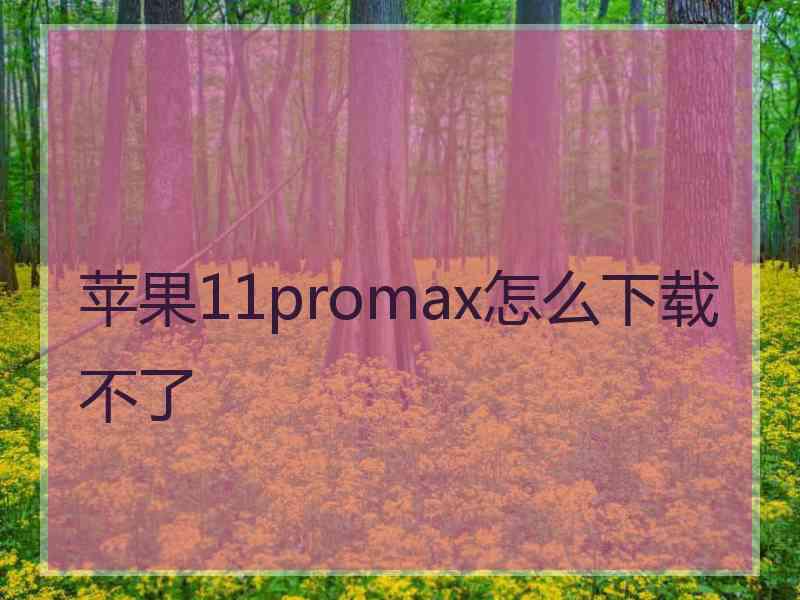 苹果11promax怎么下载不了