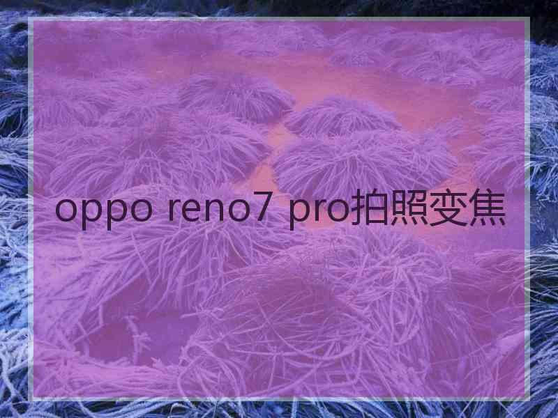 oppo reno7 pro拍照变焦