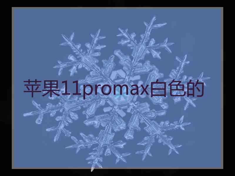 苹果11promax白色的