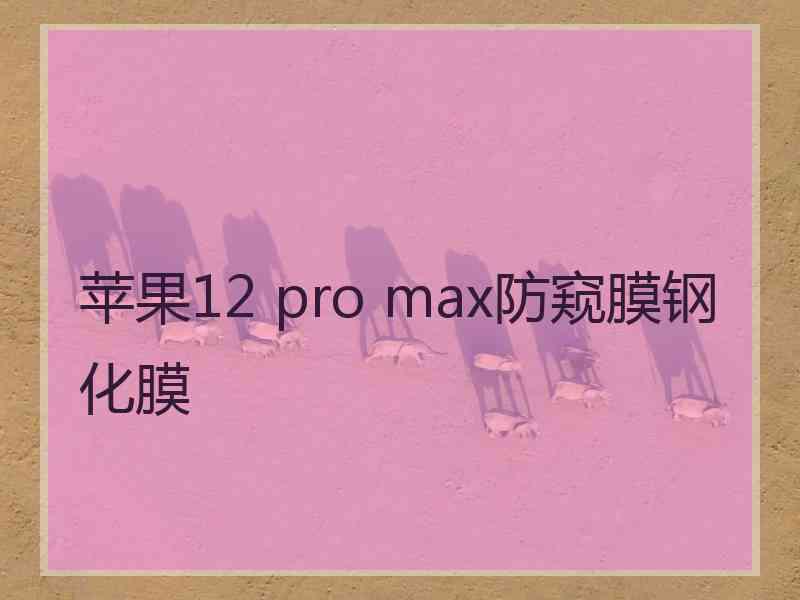 苹果12 pro max防窥膜钢化膜