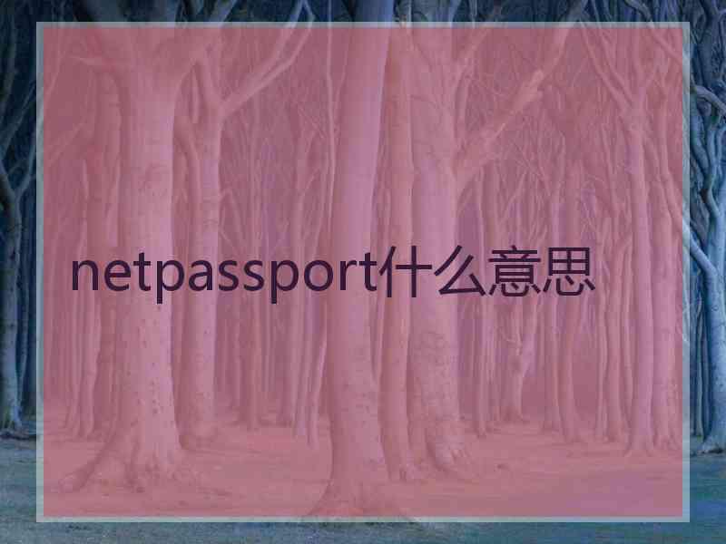 netpassport什么意思