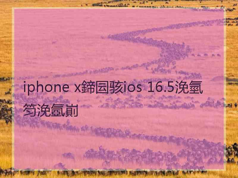 iphone x鍗囩骇ios 16.5浼氫笉浼氬崱