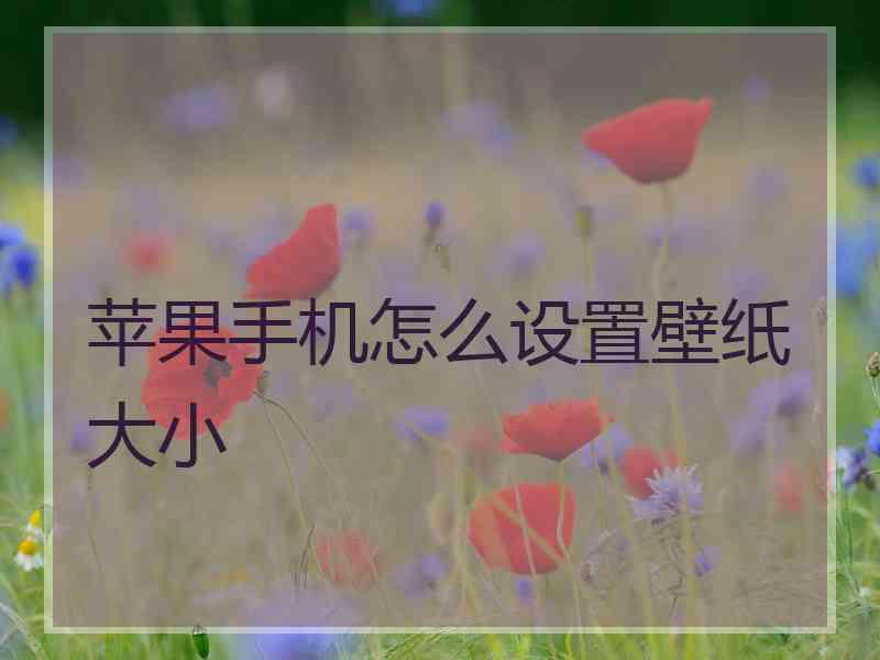 苹果手机怎么设置壁纸大小