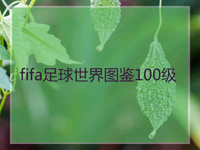 fifa足球世界图鉴100级