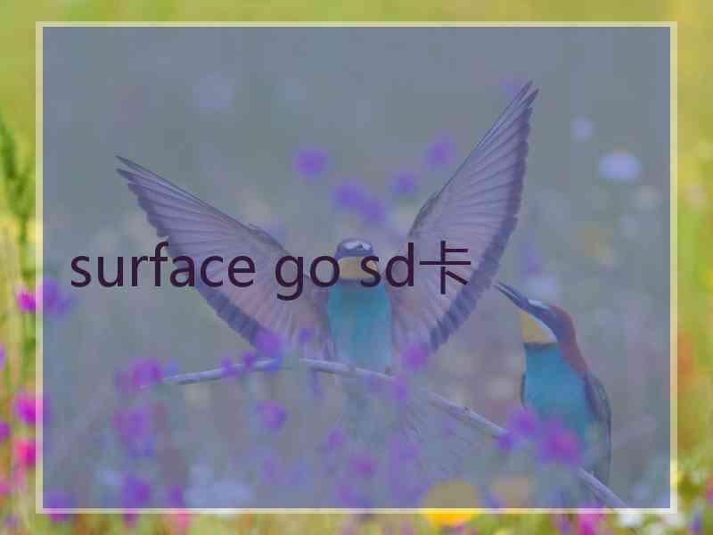 surface go sd卡