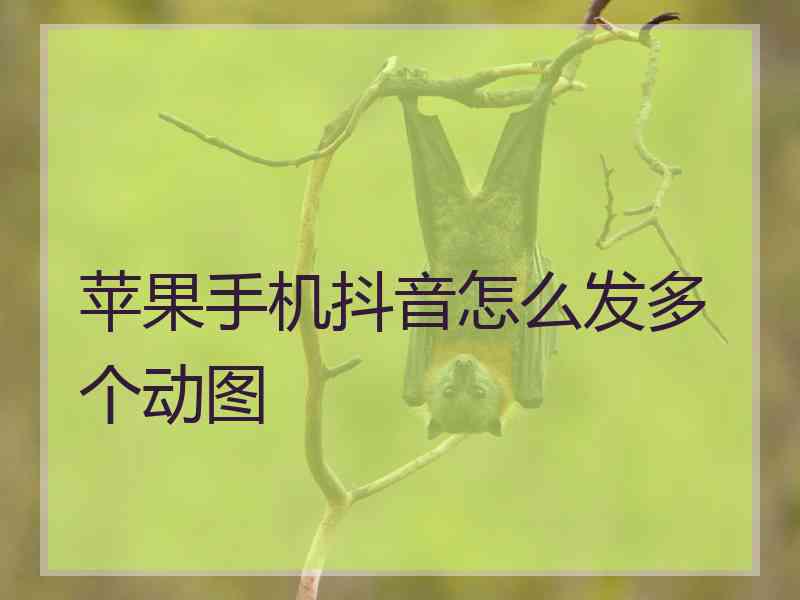 苹果手机抖音怎么发多个动图