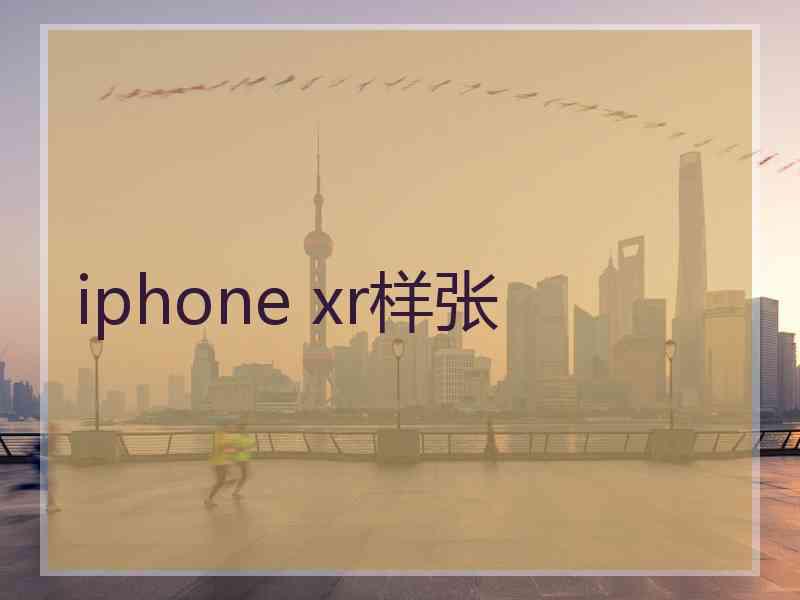 iphone xr样张