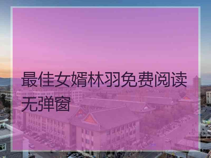 最佳女婿林羽免费阅读无弹窗