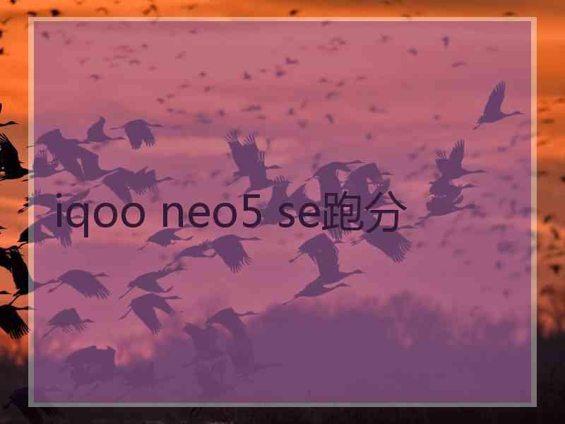 iqoo neo5 se跑分