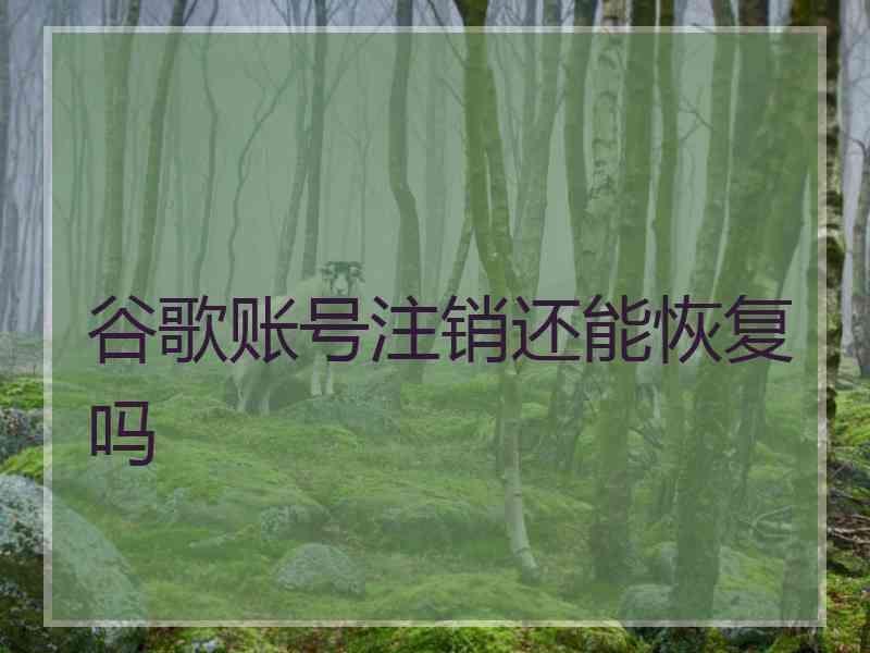 谷歌账号注销还能恢复吗