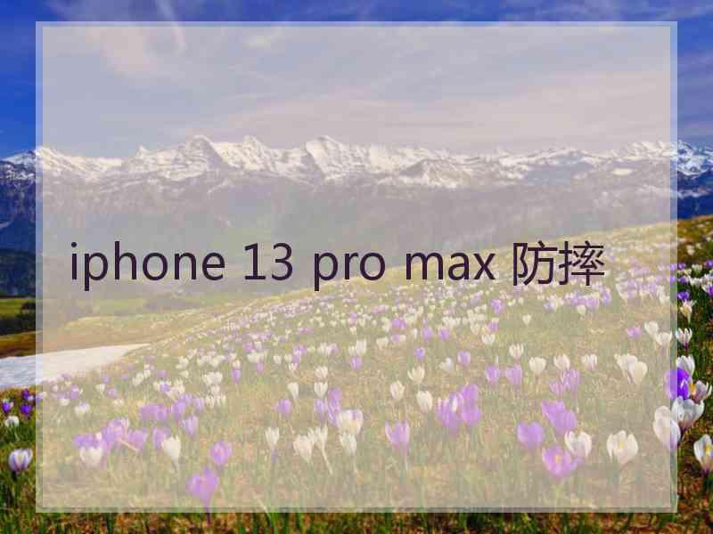 iphone 13 pro max 防摔