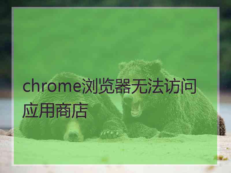 chrome浏览器无法访问应用商店