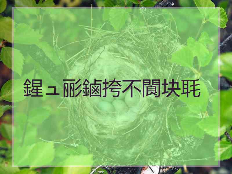 鍟ュ彨鏀挎不閬块毦