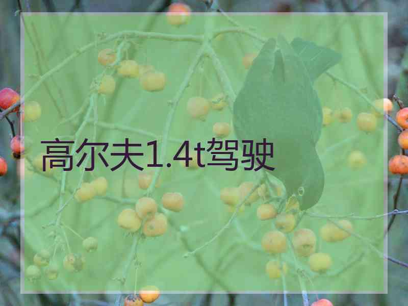 高尔夫1.4t驾驶