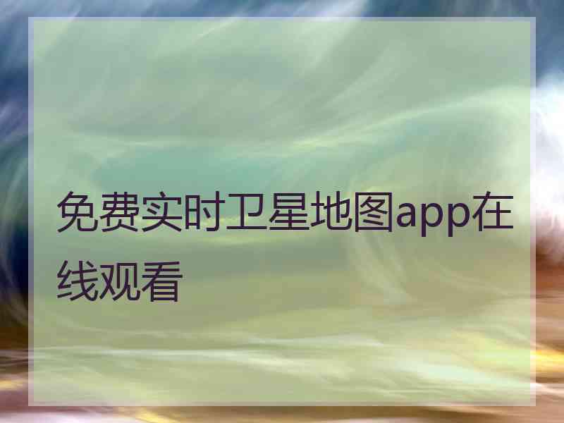 免费实时卫星地图app在线观看