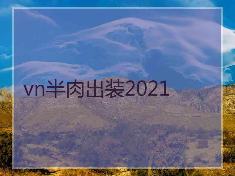 vn半肉出装2021