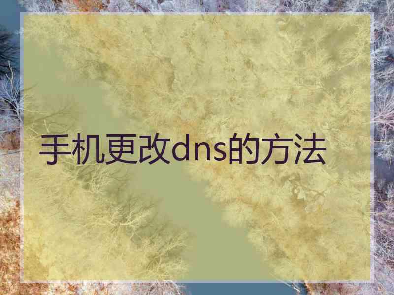 手机更改dns的方法