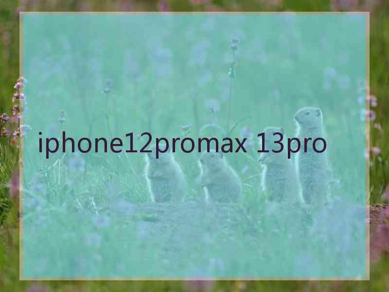 iphone12promax 13pro